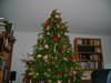 Christmas 001.jpg
03/03/2012 13:19:01
793.95 KB